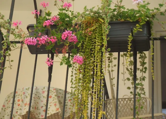 מלון Allegro לובליאנה